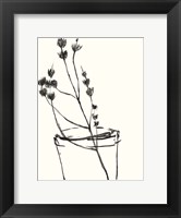 Framed Naive Flower Sketch IV