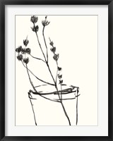 Framed Naive Flower Sketch IV