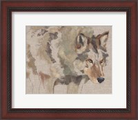 Framed Timber Wolf I