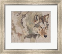 Framed Timber Wolf I