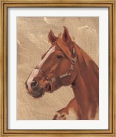 Framed Thoroughbred I