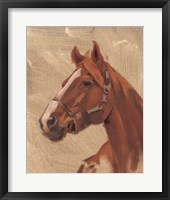 Framed Thoroughbred I