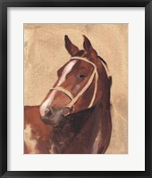 Framed Thoroughbred III