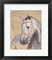 Framed Thoroughbred V