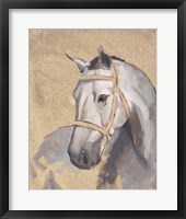 Thoroughbred V Framed Print