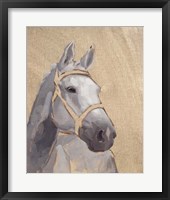 Thoroughbred VI Framed Print