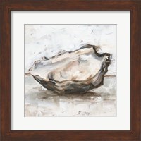 Framed Oyster Study I