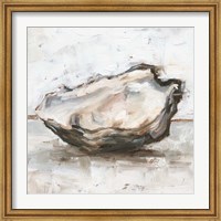 Framed Oyster Study I