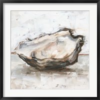 Framed Oyster Study I