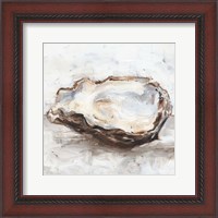 Framed Oyster Study II