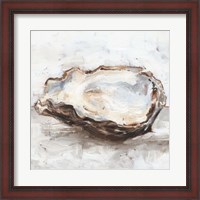 Framed Oyster Study II