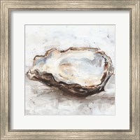 Framed Oyster Study II