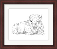 Framed Bison Contour Sketch I