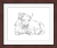 Framed Bison Contour Sketch II