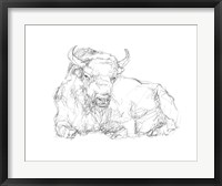 Framed Bison Contour Sketch II