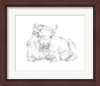 Framed Bison Contour Sketch II