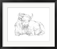 Framed Bison Contour Sketch II