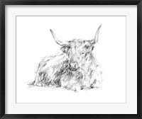 Framed Highland Cattle Sketch I
