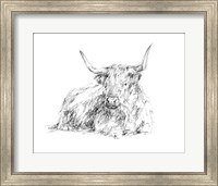 Framed Highland Cattle Sketch I