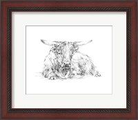 Framed Highland Cattle Sketch II
