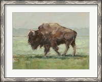 Framed Where the Buffalo Roam II