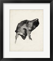 Framed 'Puppy Profile I' border=