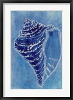 Framed Cerulean Shells I