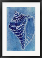 Cerulean Shells I Framed Print