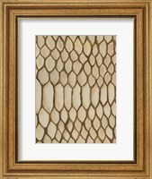 Framed Of the Wild Patterns II
