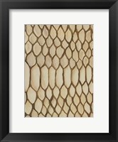 Framed Of the Wild Patterns II