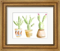 Framed Patterned Pots I