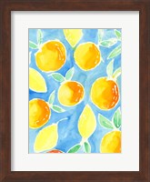 Framed Summer Citrus I