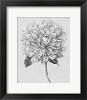 Framed Silvertone Floral I