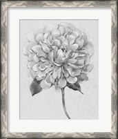 Framed Silvertone Floral I