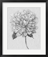 Silvertone Floral I Framed Print