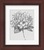 Framed Silvertone Floral II