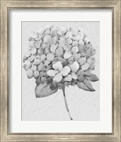 Framed Silvertone Floral II