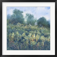 Meadow Wildflowers I Framed Print