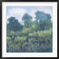 Framed Meadow Wildflowers II