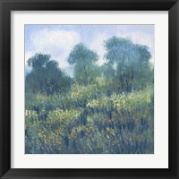 Framed 'Meadow Wildflowers II' border=