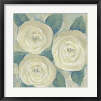 Framed Roses in Bloom I