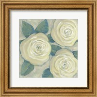 Framed Roses in Bloom II