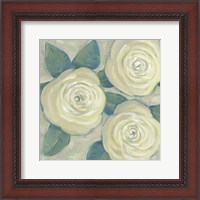 Framed Roses in Bloom II