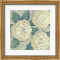 Framed Roses in Bloom II