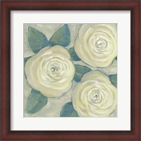Framed 'Roses in Bloom II' border=