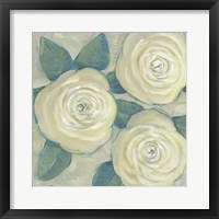 Framed 'Roses in Bloom II' border=