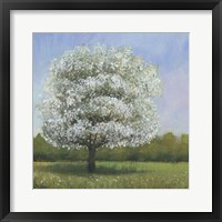 Framed Spring Blossom Tree I
