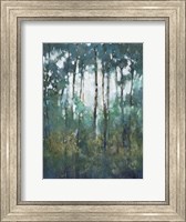 Framed Glow in the Forest II