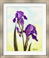 Framed Irises