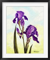 Framed Irises